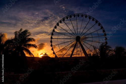 Silhouette of ferris wheel against golden sunset sky with palm trees
