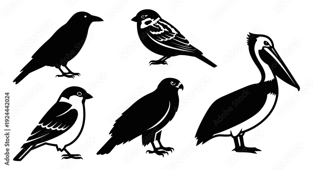 Obraz premium Diverse Bird Silhouettes Collection: Crow, Sparrow, Pelican, Hawk, and Small Birds