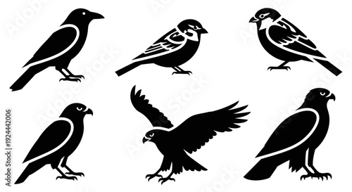 Diverse Bird Silhouettes Collection: Crow, Sparrow, Eagle, Hawk Vector Set