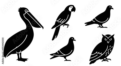 Diverse Bird Silhouettes Collection: Pelican, Parrot, Pigeon, and Owl Icons