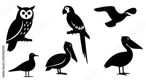Diverse Bird Silhouettes Collection: Owl, Parrot, Pelican, and Seagull Vector Icons