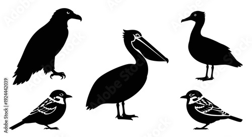 Diverse Bird Silhouettes Collection: Pelican, Eagle, Waterfowl, and Small Birds