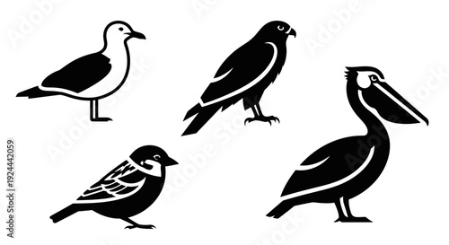 Diverse Bird Silhouettes Collection: Seagull, Hawk, Sparrow, and Pelican Icons