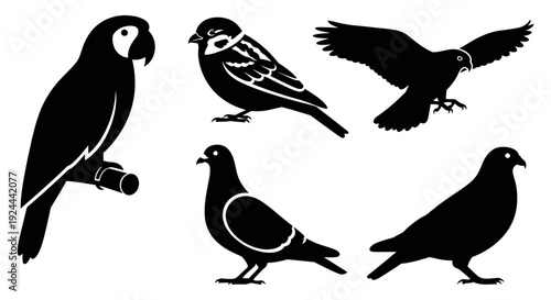 Diverse Bird Silhouettes Vector Collection: Parrot, Finch, Hawk, and Pigeons