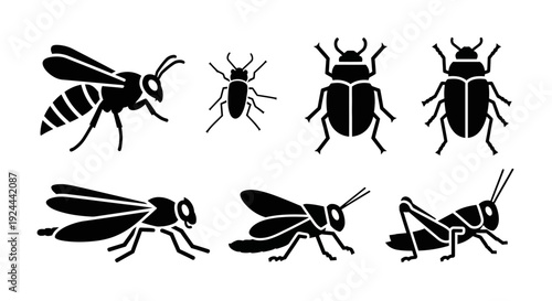 Diverse Insect Silhouettes Collection: Wasp, Beetle, Tick, Grasshopper Icons Set