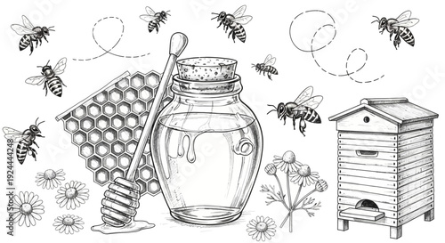 Honey jar with bees and beehive illustration on white background