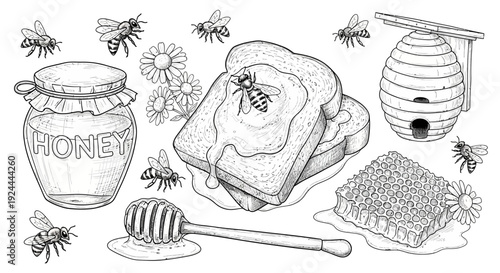 Honey jar toast beehive and bees illustration nature food ingredients