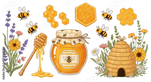Honey jar with bees and honeycomb vector illustration on white background