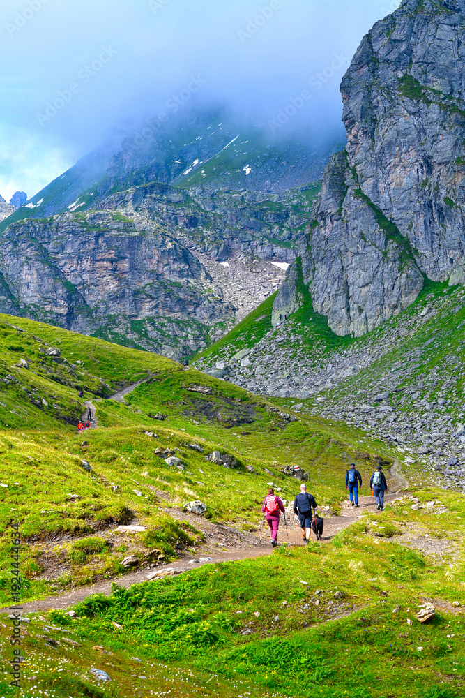 Fototapeta premium Wanderweg von der Pizolhütte zum Wildsee (5-Seen-Wanderroute) im Pizolmassiv, Kanton St. Gallen, Schweiz