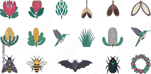 Collection of desert plants and pollinators with various insects and a bird