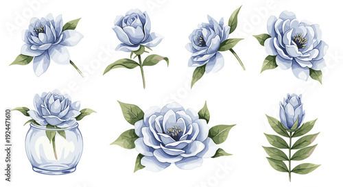 Collection of delicate blue watercolor flowers and leaves on a white background