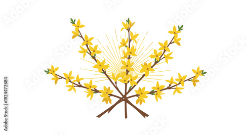 Vibrant yellow forsythia branches with radiating sunburst on a clean white background