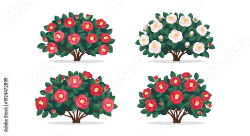 Collection of four stylized camellia bushes with red and white flowers and green leaves