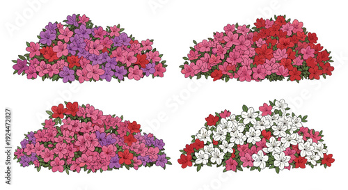 Collection of colorful azalea bushes in a stylized illustration with a white background