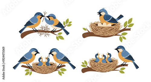 Charming illustration of bluebirds building nests and caring for their young on branches