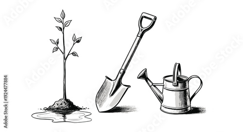 Illustration of a young plant, shovel, and watering can on a white background
