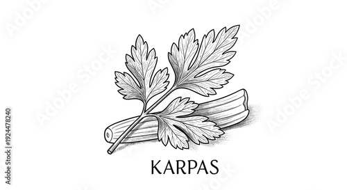 Vintage illustration of celery stalk and leaves, a classic botanical drawing style