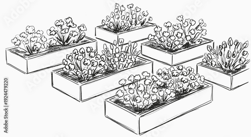 Sketch of multiple rectangular planters filled with blooming flowers arranged in a garden setting