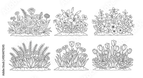 Collection of six hand-drawn floral arrangements in a simple line art style