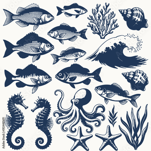 Ocean Creatures Collection vector