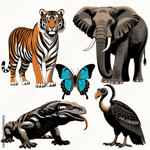 Endangered Species Collection vector
