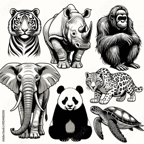 Endangered Animals Set vector