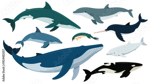A diverse group of marine animals swimming together in the ocean, depicted in a digital illustration from a top-down viewpoint.