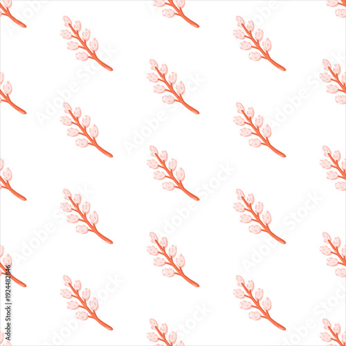 Seamless spring pattern with pussy willow branches on white background. Cartoon vector print 