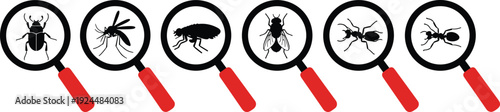 Magnifying glass insect inspection insects beetle mosquito