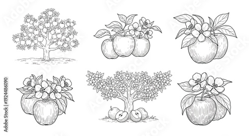 Collection of hand-drawn apple trees and fruits with blossoms in a vintage sketch style