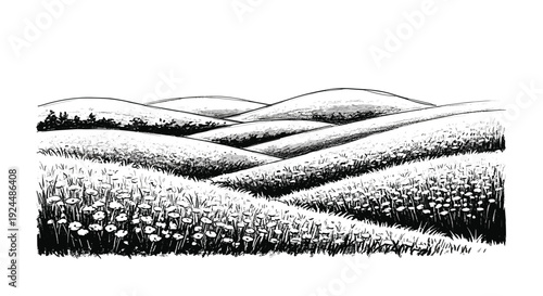 Sketch of rolling hills covered in grass and wildflowers under a clear sky