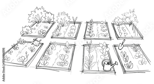 Hand-drawn sketch of a vibrant vegetable garden with raised beds and various plants growing