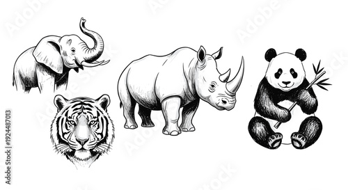 Collection of majestic wild animals including elephant, tiger, rhino, and panda in sketch style