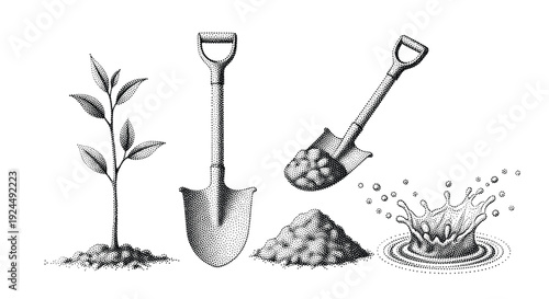 Gardening tools and plant growth illustration with shovels, soil, and water splash