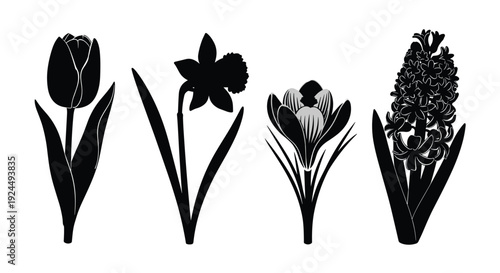 Collection of black silhouette spring flowers including tulip, daffodil, crocus, and hyacinth