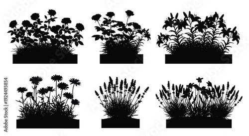 Collection of black silhouettes of various garden plants in planters, isolated on white