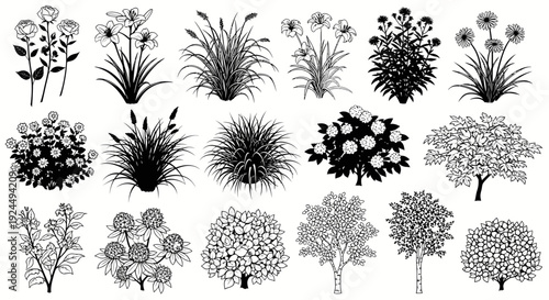 Set of Hand-Drawn Botanical Elements: Trees, Flowers, Grasses, and Bushes