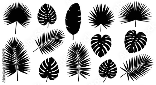 Tropical Leaf Silhouettes: Assorted Exotic Plant Shapes for Design