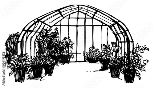Detailed black ink drawing of a large garden greenhouse filled with various potted plants