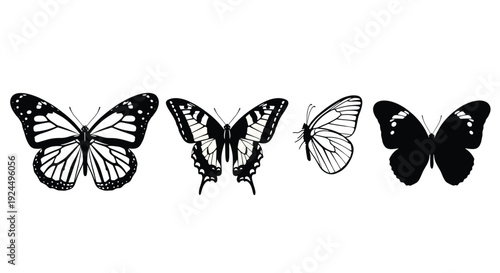Collection of four distinct butterfly illustrations in black and white on a white background