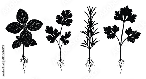 Collection of black silhouette herbs with roots, isolated on white background