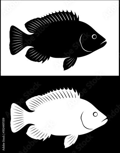 Farm animal icon, vector illustration of tilapia fish, with silhouette design, in original and negative versions
