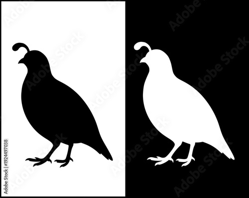 Farm animal icon, vector illustration of a quail, with silhouette design, in original and negative versions