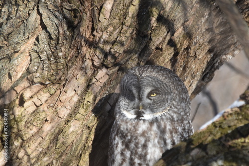 Wallpaper Mural Parc Maritime Nicolet 22 Février 2026  Torontodigital.ca