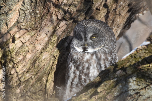 Wallpaper Mural Parc Maritime Nicolet 22 Février 2026  Torontodigital.ca