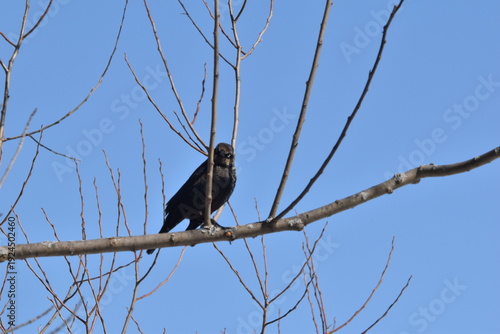 Wallpaper Mural Parc Maritime Nicolet 22 Février 2026  Torontodigital.ca