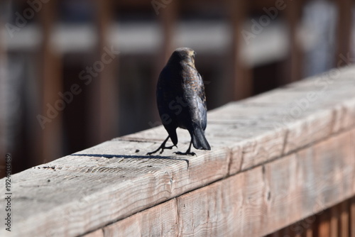 Wallpaper Mural Parc Maritime Nicolet 22 Février 2026  Torontodigital.ca