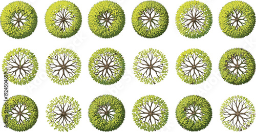 Collection of abstract blue and green tree canopy top view illustrations, circular botanical patterns set isolated on white background for nature design elements