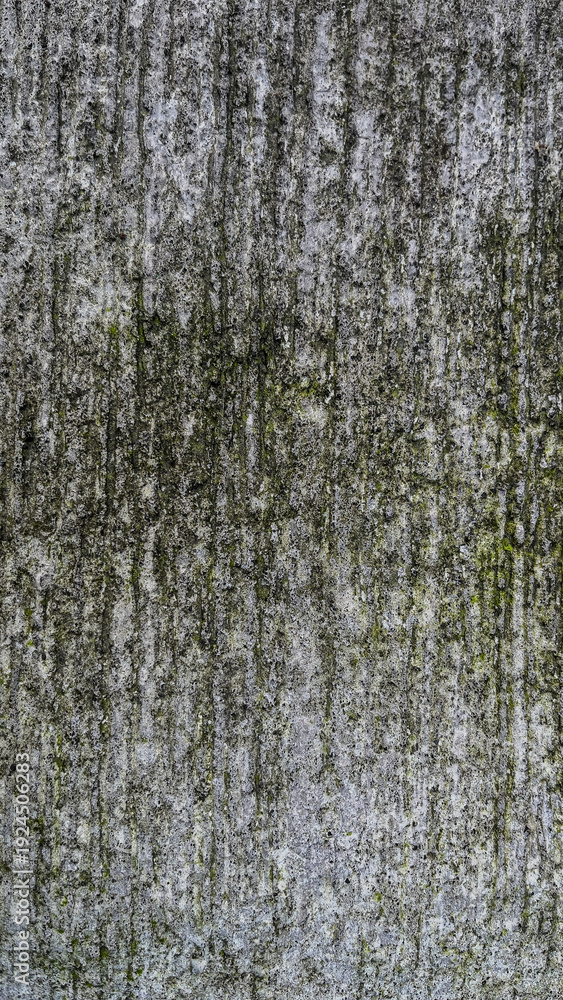 Fototapeta premium Abstract concrete wall texture background with rough cement surface pattern, gray industrial backdrop for design and construction concept