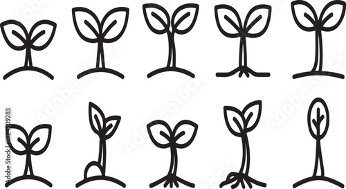 A series of black and white illustrations depicting the growth stages of a plant. Vector